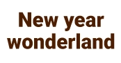 New Year wonderland 